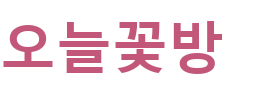 오늘꽃방